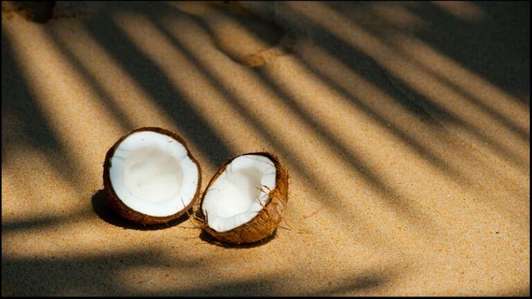 Heres-Why-Coconut-Water-Deserves-A-Spot-In-Your-Skincare-Routine.jpg